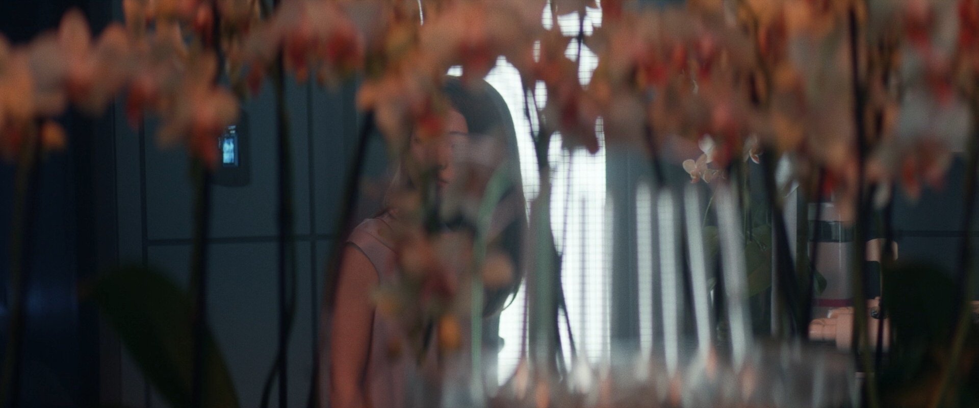 extant_StarTrek_PIC_1x06-TheImpossibleBox_05029.jpg