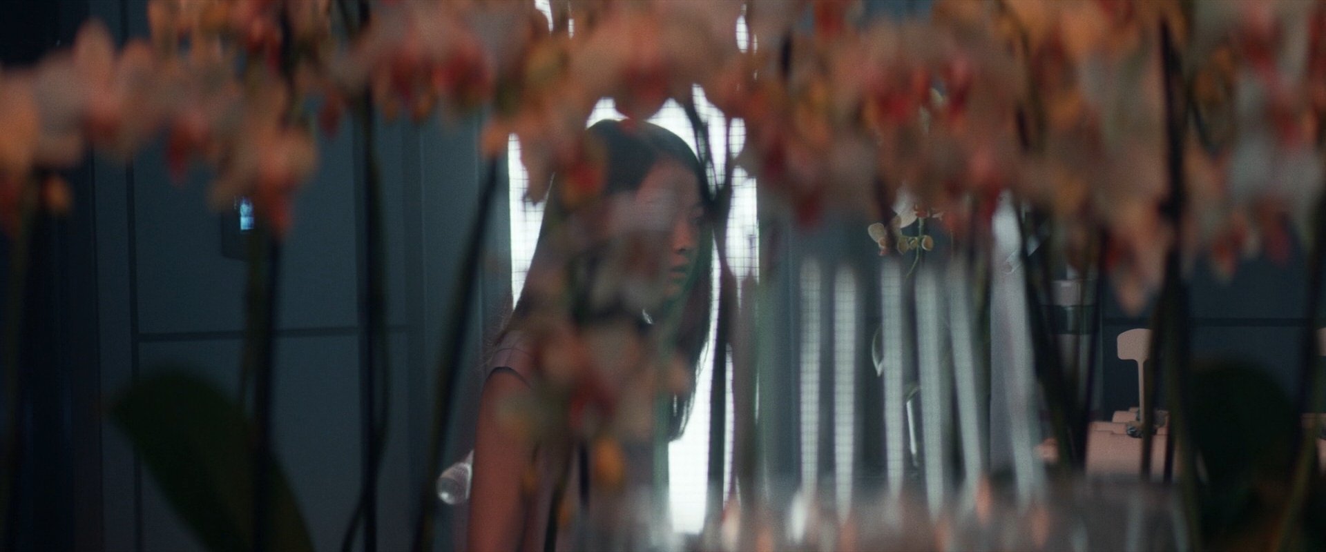 extant_StarTrek_PIC_1x06-TheImpossibleBox_05030.jpg