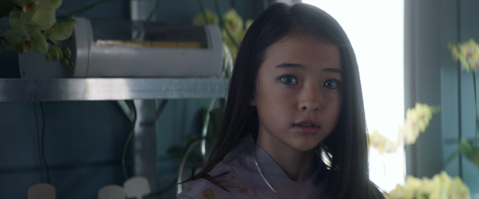 extant_StarTrek_PIC_1x06-TheImpossibleBox_05040.jpg