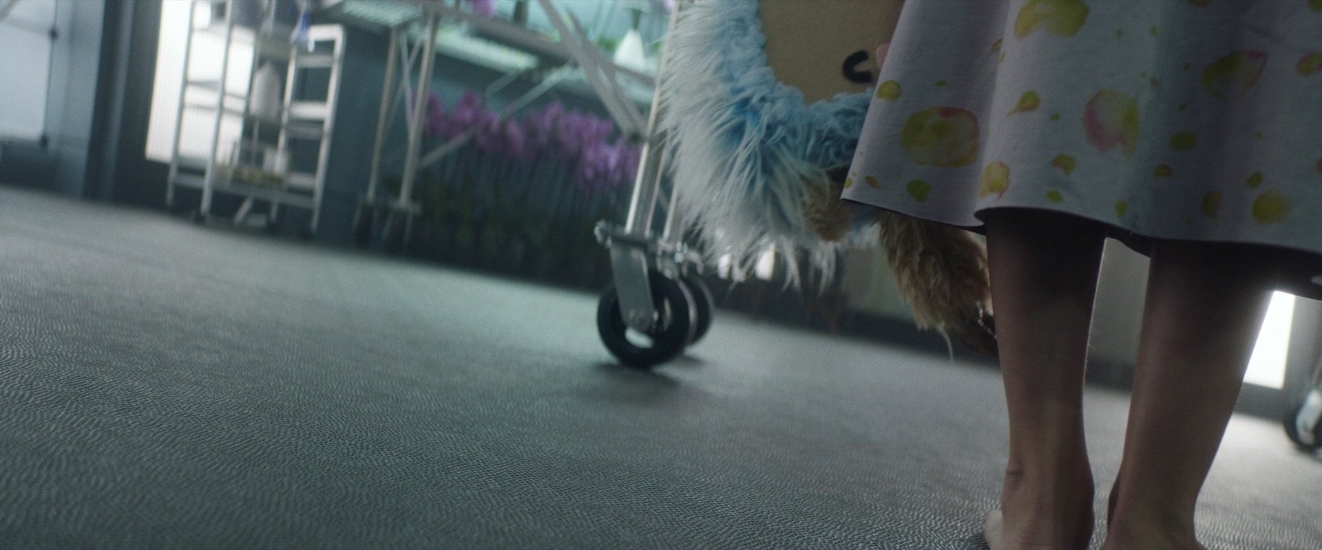 extant_StarTrek_PIC_1x06-TheImpossibleBox_05054.jpg