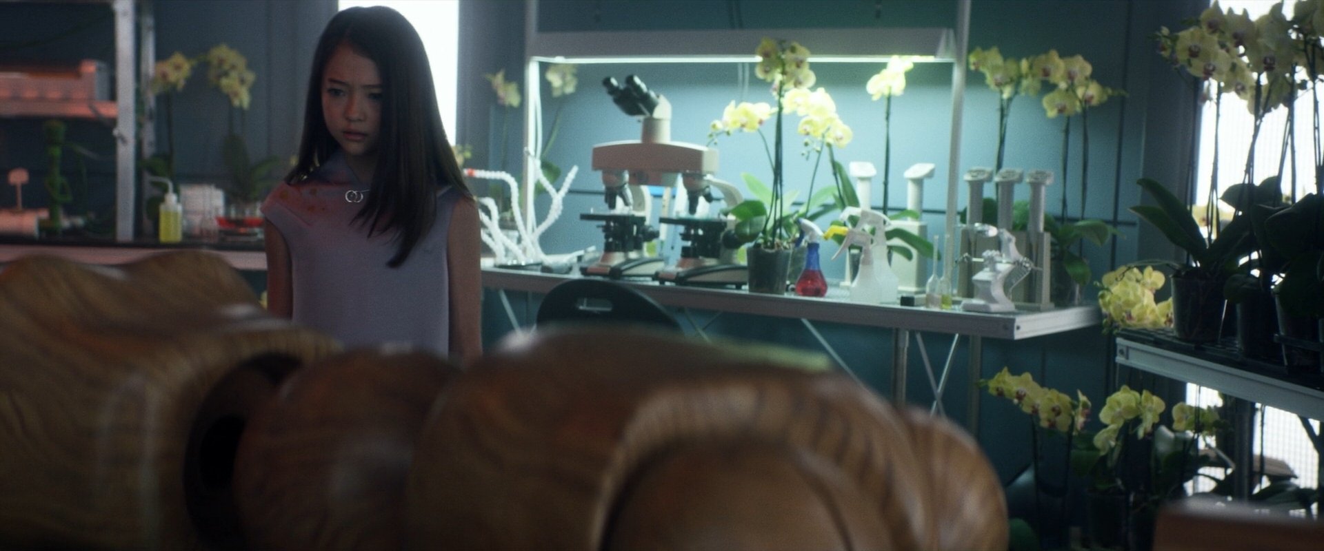 extant_StarTrek_PIC_1x06-TheImpossibleBox_05072.jpg
