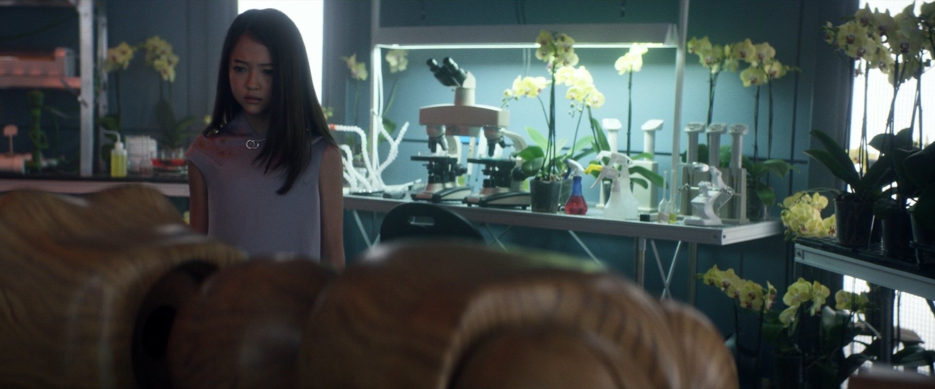 extant_StarTrek_PIC_1x06-TheImpossibleBox_05073.jpg