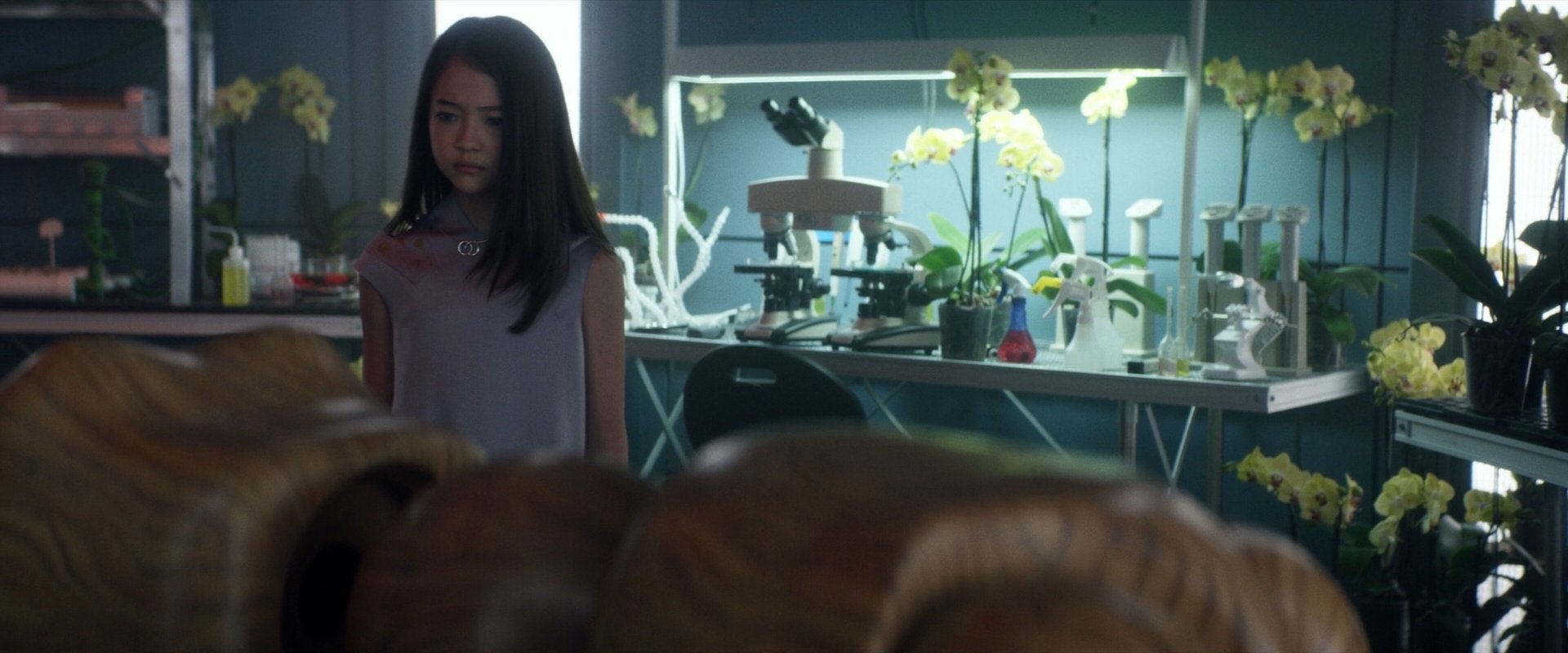 extant_StarTrek_PIC_1x06-TheImpossibleBox_05075.jpg