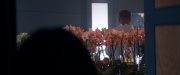 Filename=extant_StarTrek_PIC_1x06-TheImpossibleBox_00214.jpg
Filesize=117KiB
Dimensions=1920x800
Date added=Mar 02, 2020 extant_StarTrek_PIC_1x06-TheImpossibleBox_00214.jpg