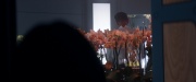 Filename=extant_StarTrek_PIC_1x06-TheImpossibleBox_00217.jpg
Filesize=108KiB
Dimensions=1920x800
Date added=Mar 02, 2020 extant_StarTrek_PIC_1x06-TheImpossibleBox_00217.jpg