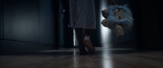 extant_StarTrek_PIC_1x06-TheImpossibleBox_04579.jpg