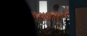 extant_StarTrek_PIC_1x06-TheImpossibleBox_04773.jpg