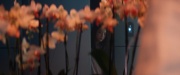 extant_StarTrek_PIC_1x06-TheImpossibleBox_04779.jpg