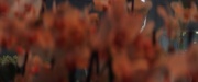 extant_StarTrek_PIC_1x06-TheImpossibleBox_04787.jpg