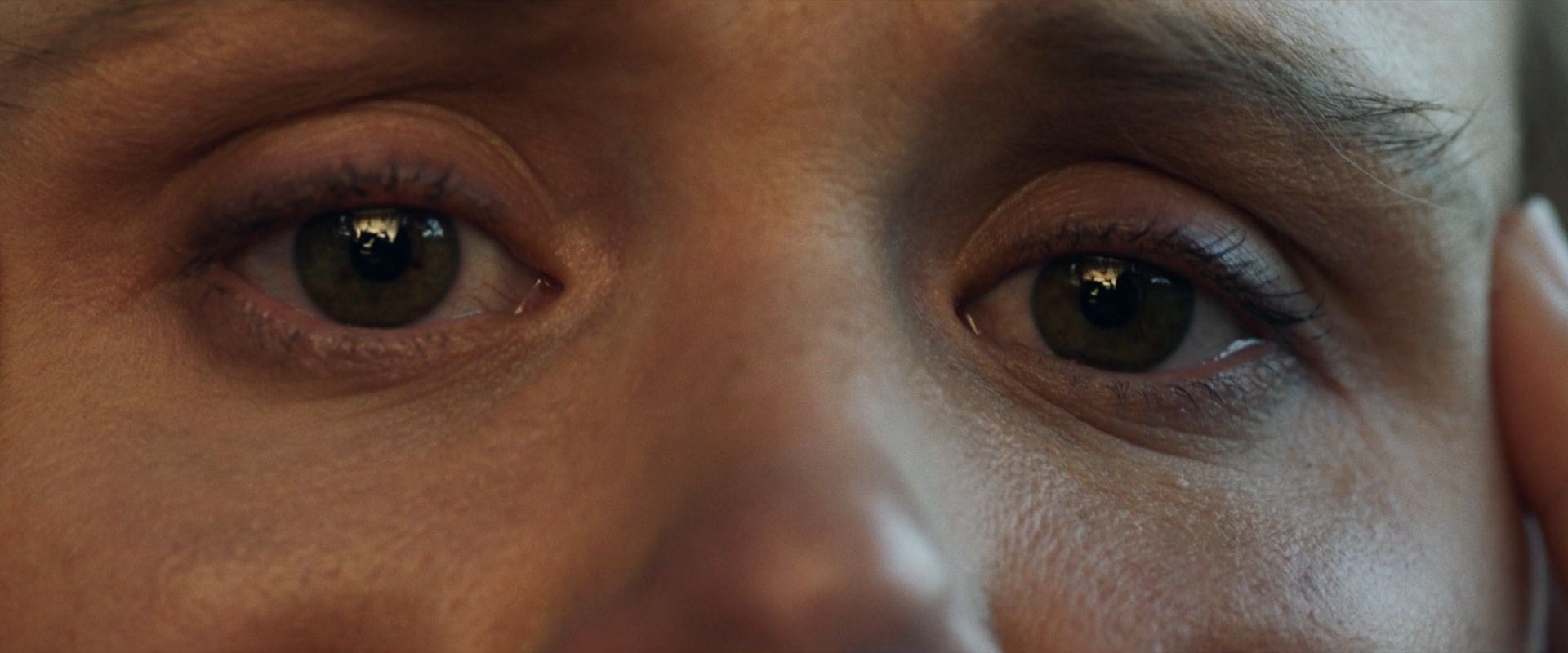 extant_StarTrek_PIC_1x07-Nepenthe_00455.jpg