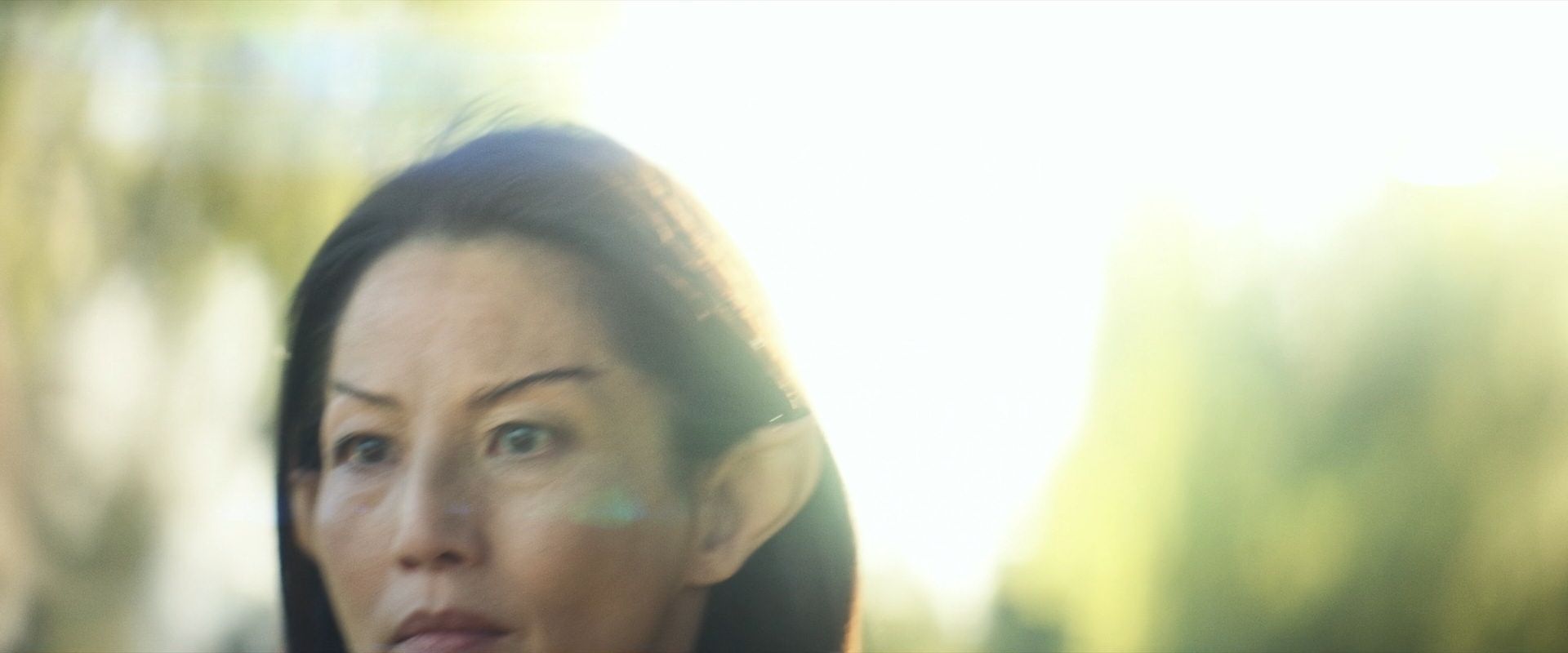 extant_StarTrek_PIC_1x07-Nepenthe_00559.jpg