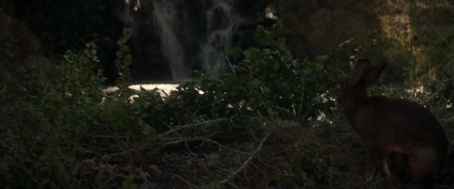 extant_StarTrek_PIC_1x07-Nepenthe_01343.jpg