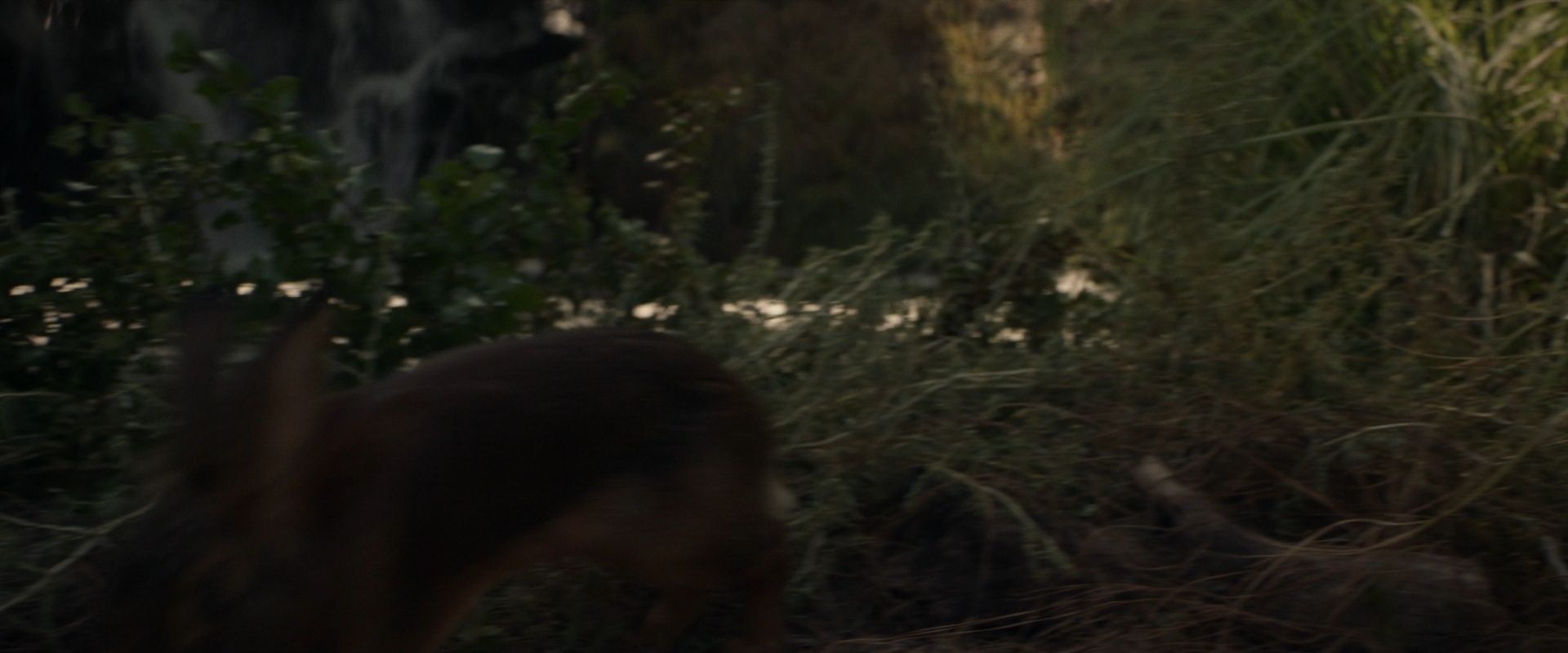 extant_StarTrek_PIC_1x07-Nepenthe_01347.jpg