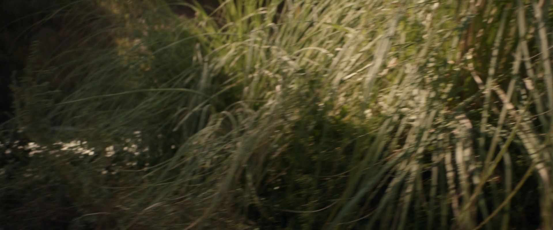 extant_StarTrek_PIC_1x07-Nepenthe_01351.jpg