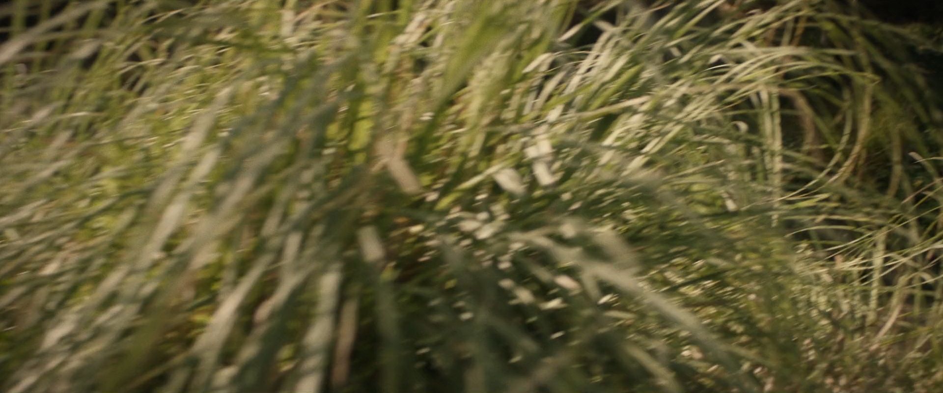 extant_StarTrek_PIC_1x07-Nepenthe_01354.jpg