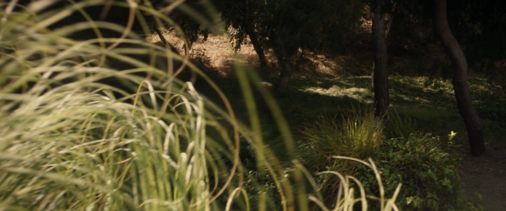 extant_StarTrek_PIC_1x07-Nepenthe_01357.jpg