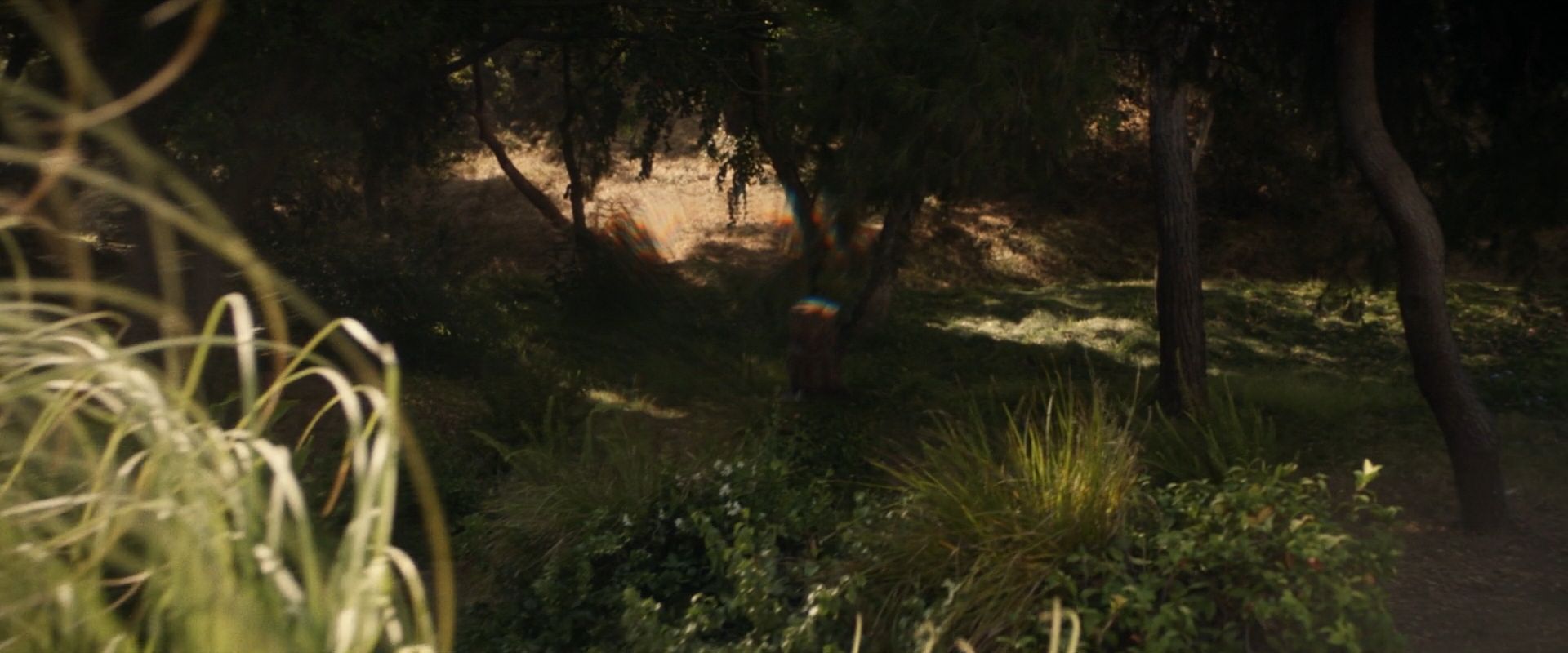 extant_StarTrek_PIC_1x07-Nepenthe_01358.jpg