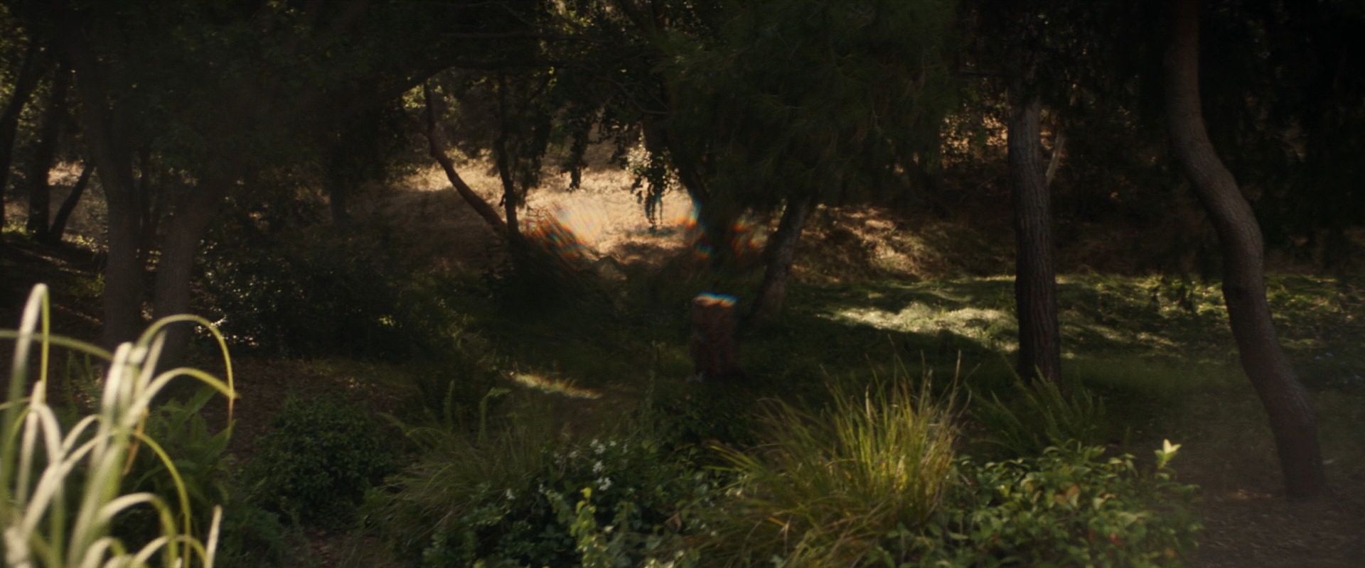 extant_StarTrek_PIC_1x07-Nepenthe_01359.jpg