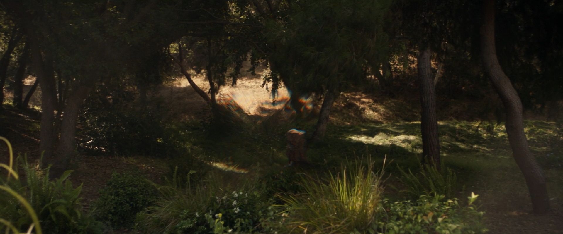 extant_StarTrek_PIC_1x07-Nepenthe_01360.jpg