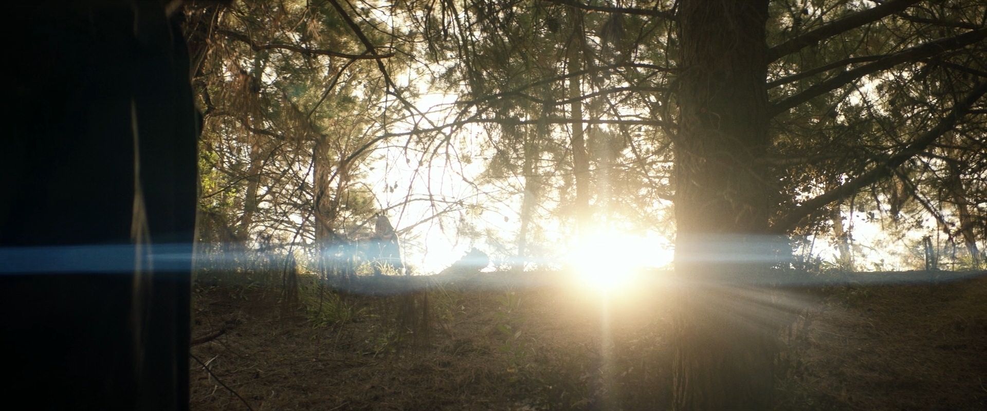 extant_StarTrek_PIC_1x07-Nepenthe_01375.jpg