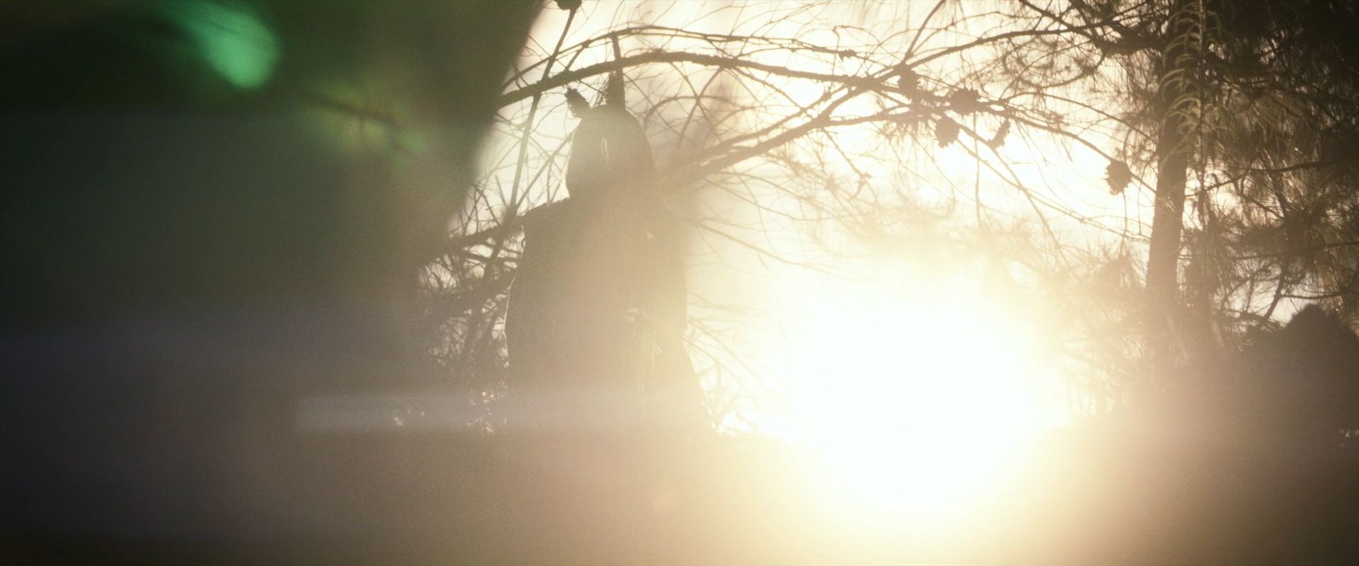 extant_StarTrek_PIC_1x07-Nepenthe_01377.jpg