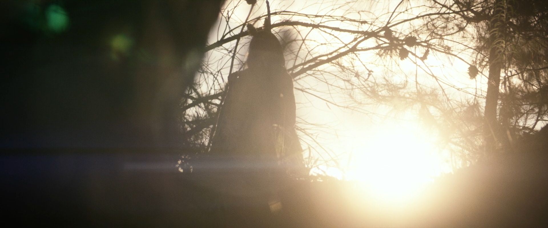 extant_StarTrek_PIC_1x07-Nepenthe_01378.jpg