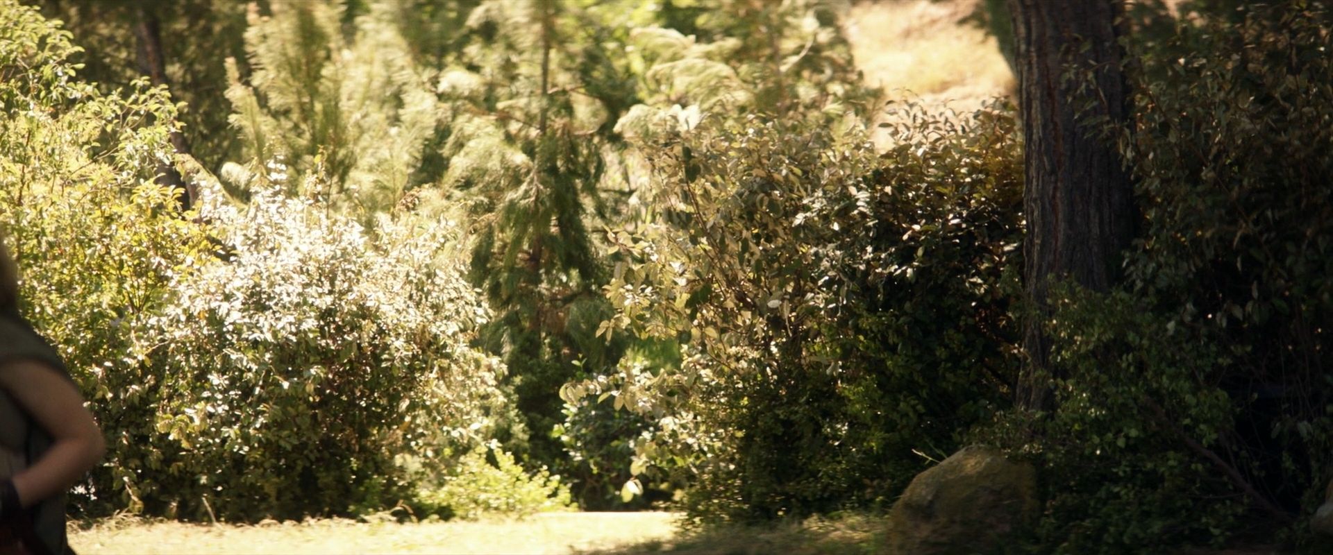 extant_StarTrek_PIC_1x07-Nepenthe_01784.jpg