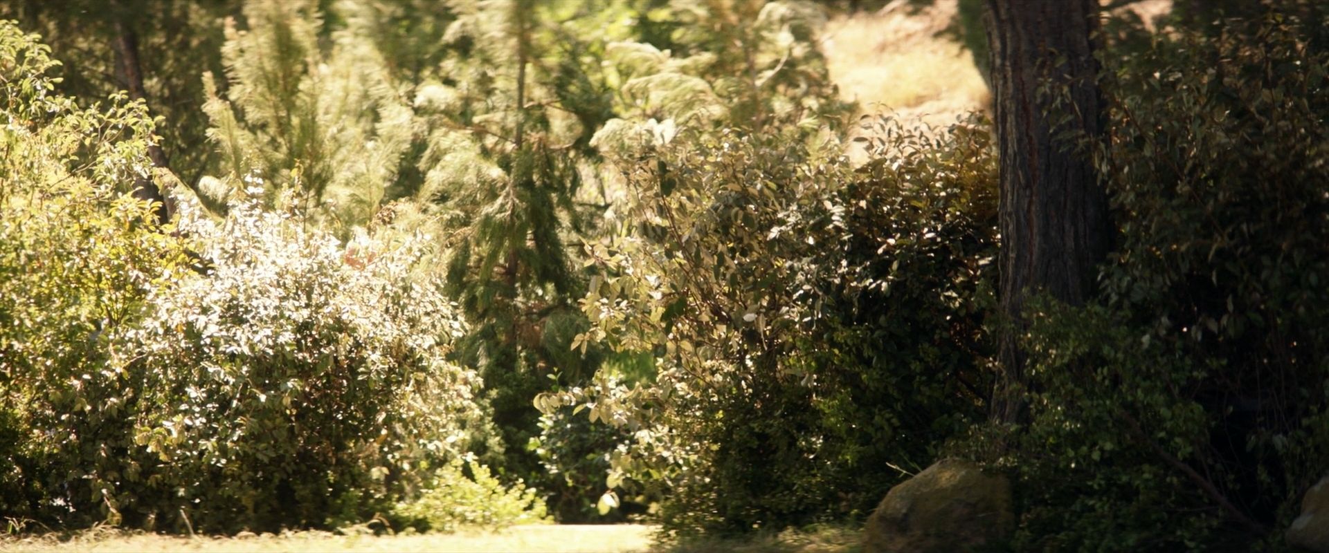 extant_StarTrek_PIC_1x07-Nepenthe_01785.jpg