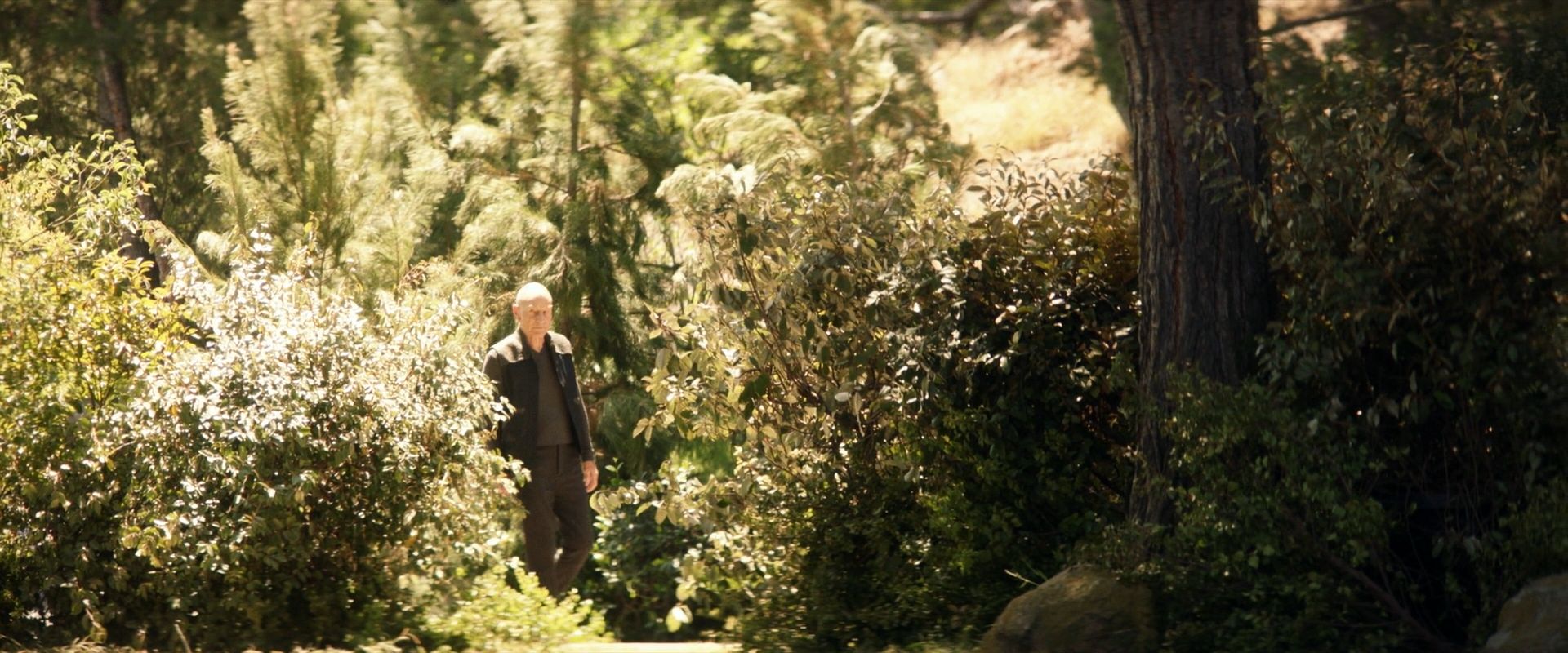 extant_StarTrek_PIC_1x07-Nepenthe_01787.jpg