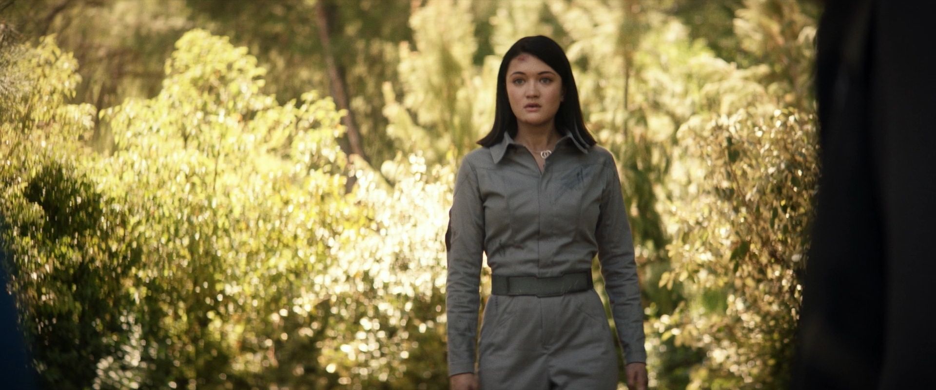 extant_StarTrek_PIC_1x07-Nepenthe_01893.jpg
