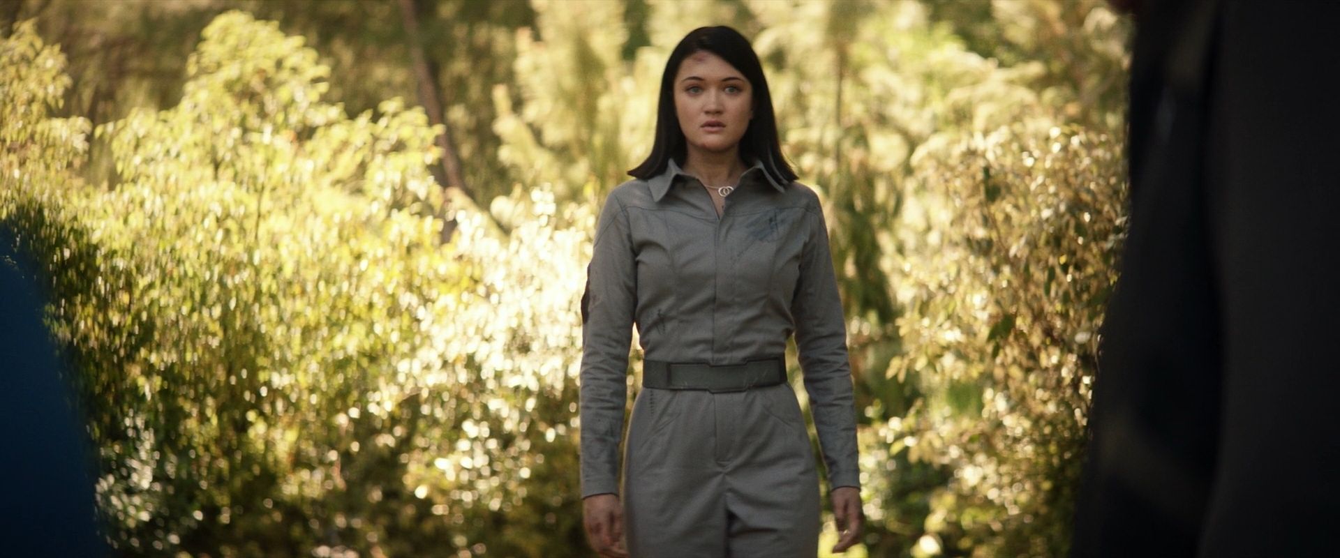 extant_StarTrek_PIC_1x07-Nepenthe_01896.jpg