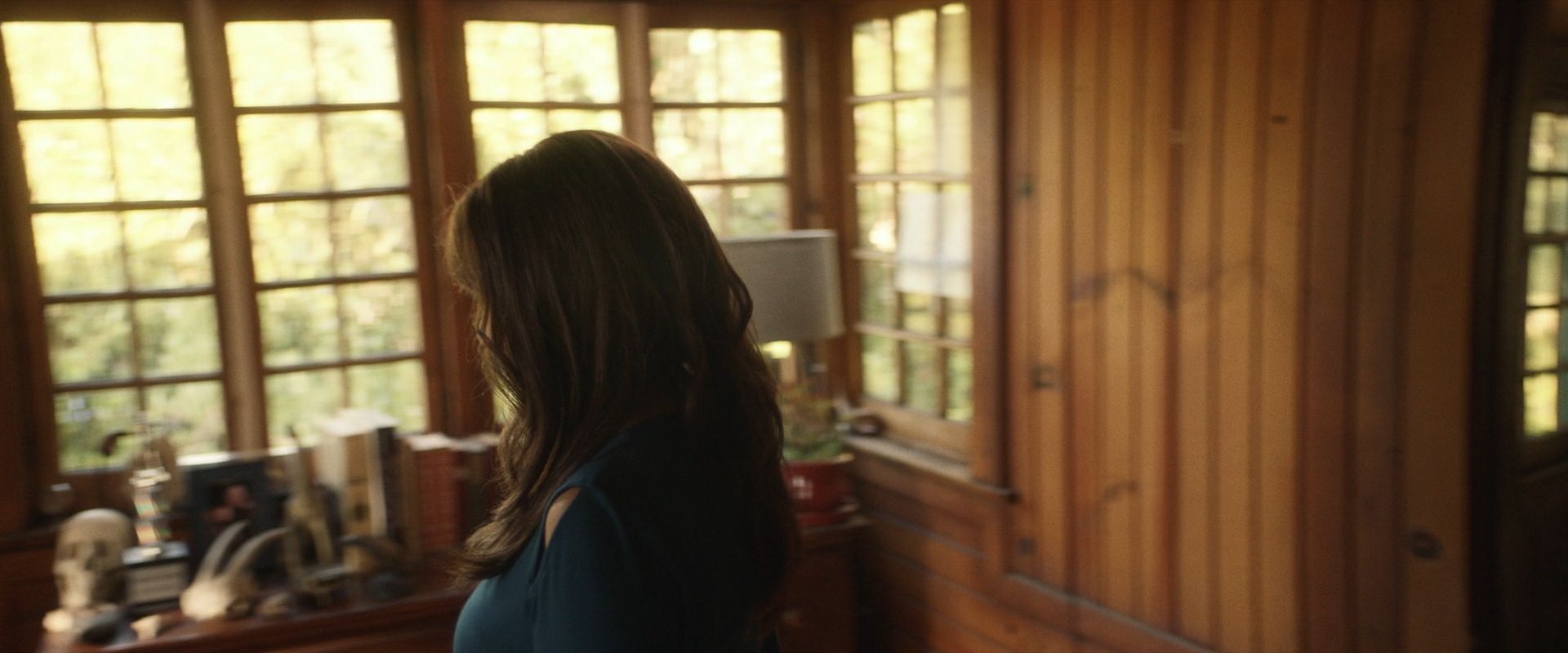 extant_StarTrek_PIC_1x07-Nepenthe_02513.jpg