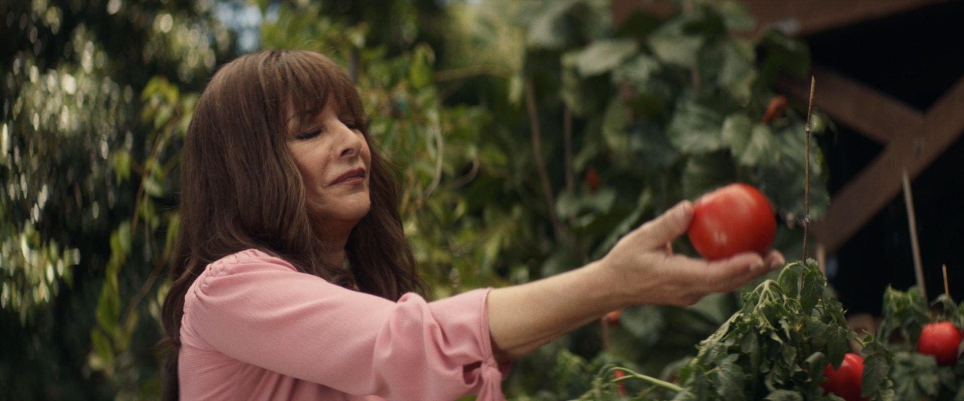 extant_StarTrek_PIC_1x07-Nepenthe_03459.jpg