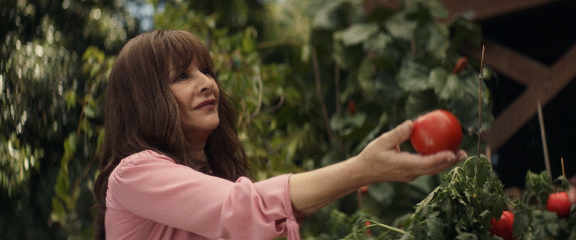 extant_StarTrek_PIC_1x07-Nepenthe_03460.jpg