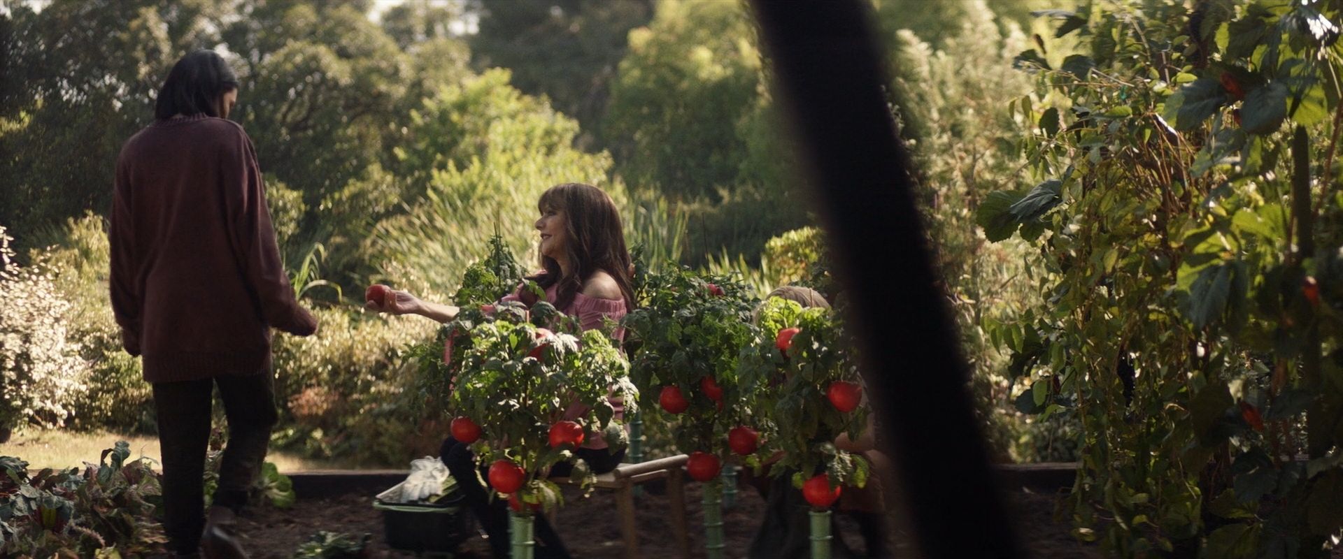 extant_StarTrek_PIC_1x07-Nepenthe_03463.jpg