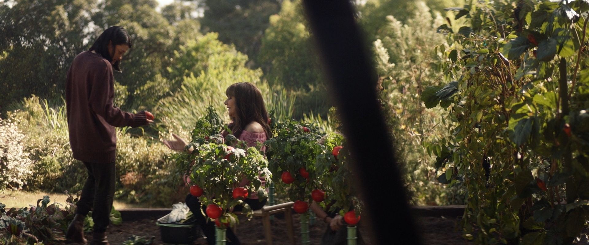 extant_StarTrek_PIC_1x07-Nepenthe_03465.jpg
