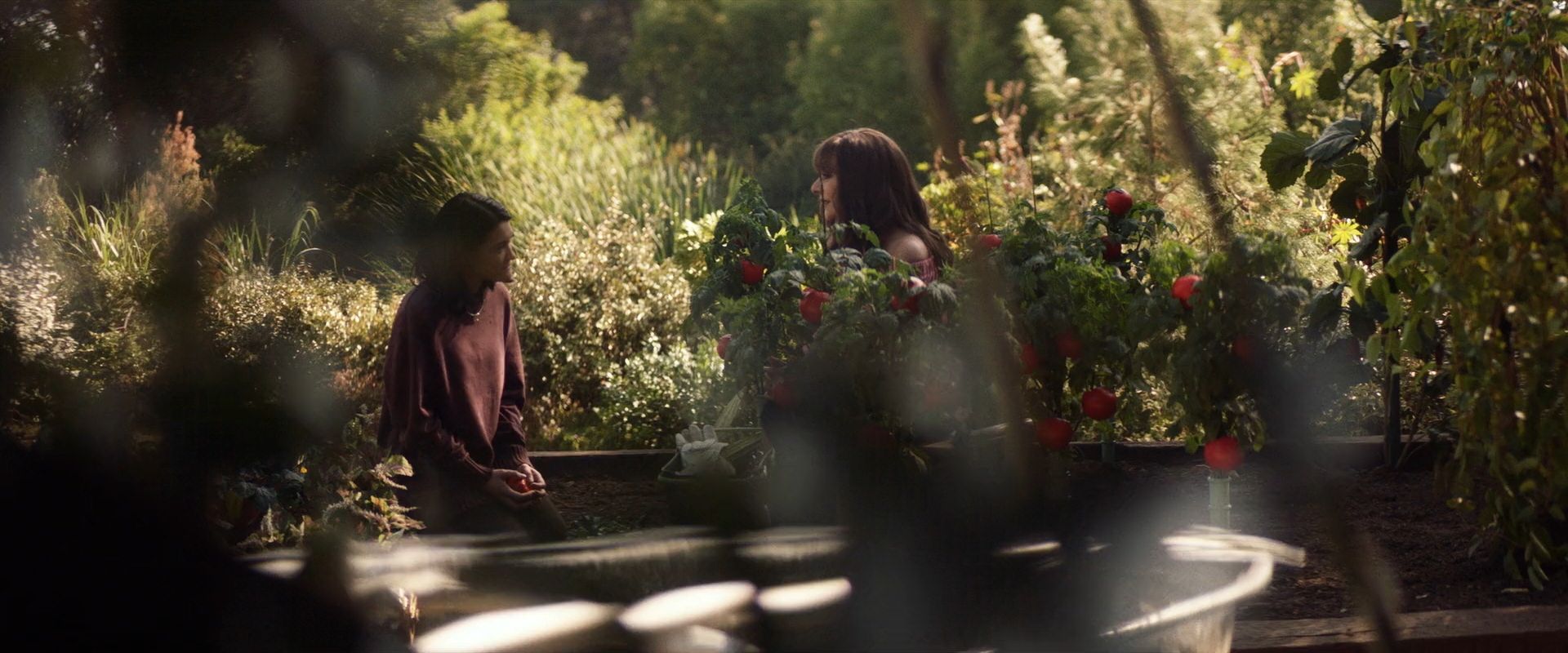 extant_StarTrek_PIC_1x07-Nepenthe_03581.jpg