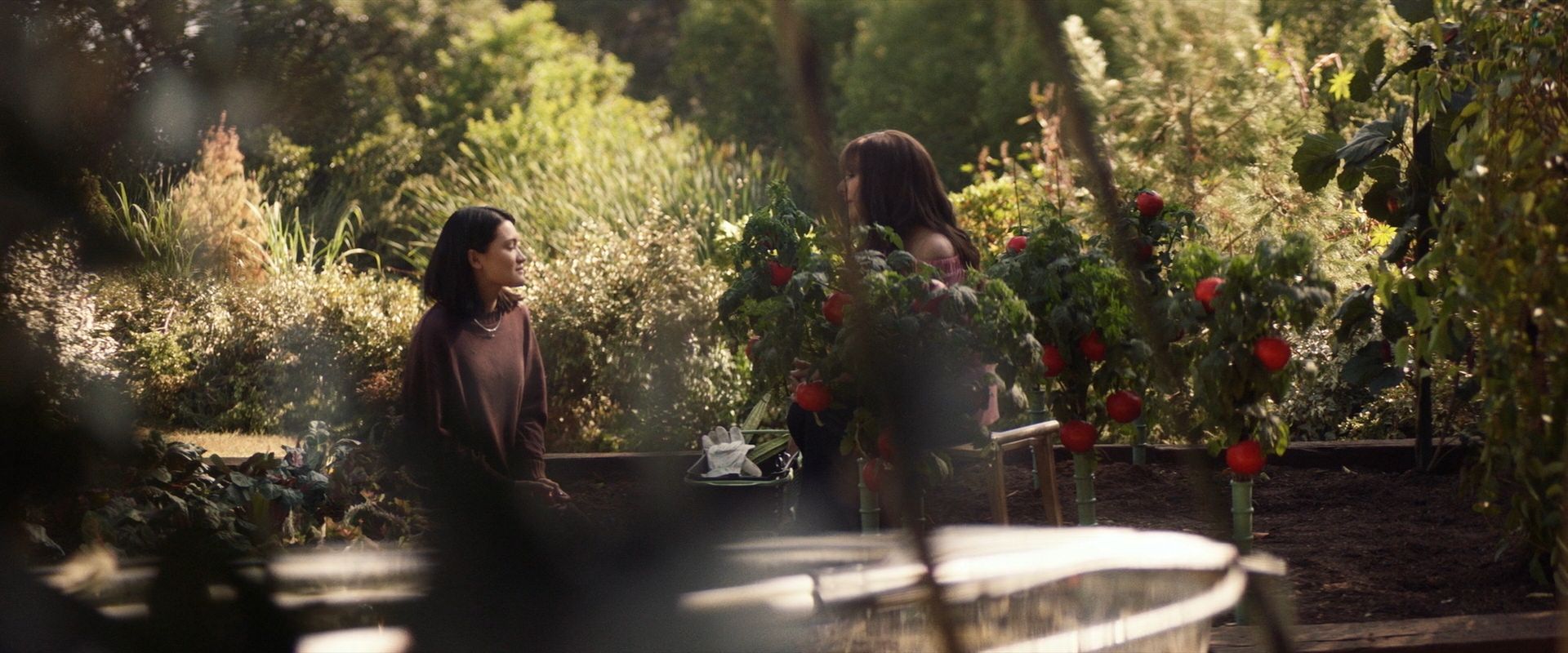 extant_StarTrek_PIC_1x07-Nepenthe_03589.jpg