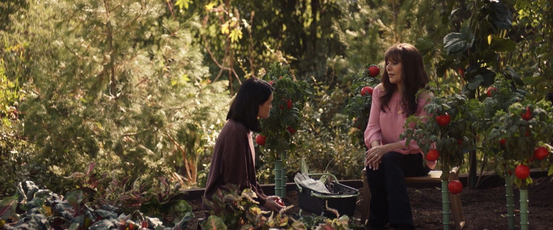 extant_StarTrek_PIC_1x07-Nepenthe_03616.jpg