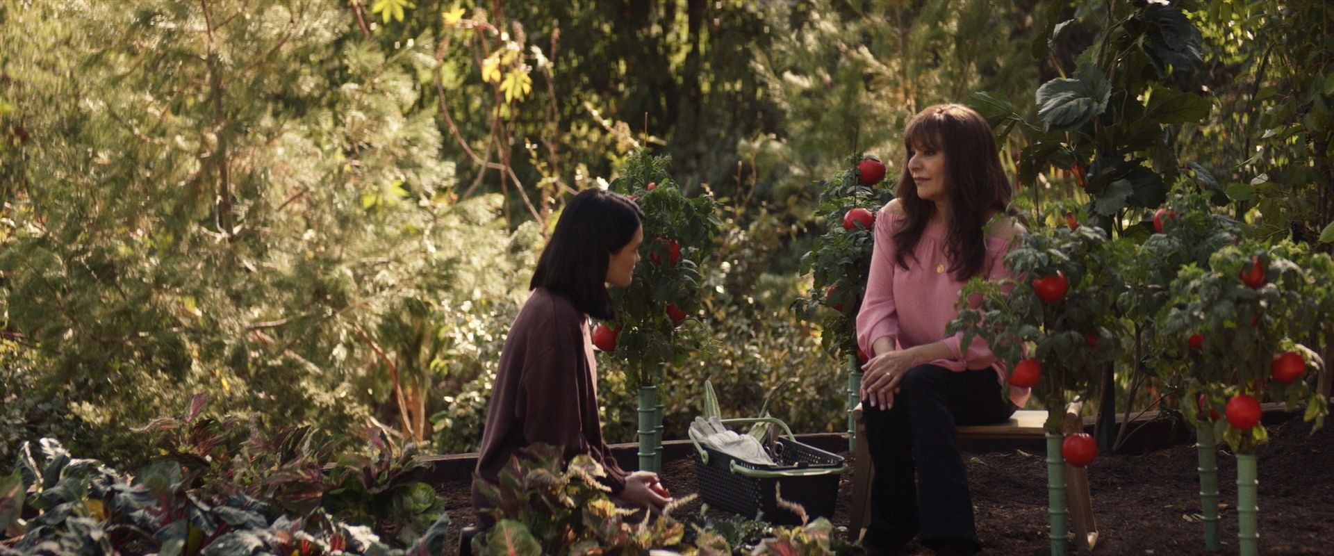 extant_StarTrek_PIC_1x07-Nepenthe_03619.jpg