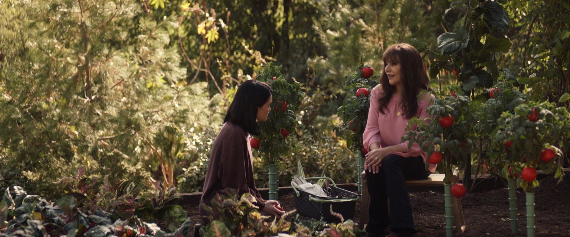 extant_StarTrek_PIC_1x07-Nepenthe_03620.jpg
