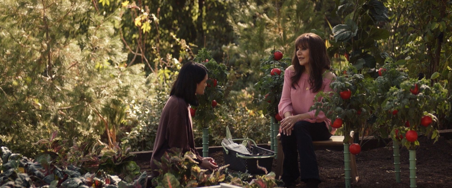 extant_StarTrek_PIC_1x07-Nepenthe_03623.jpg
