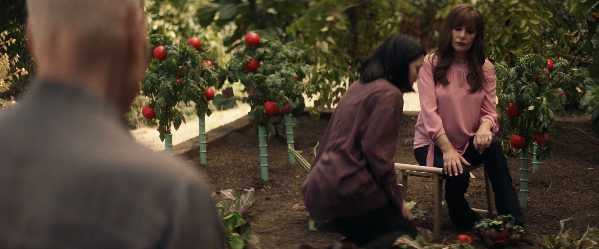 extant_StarTrek_PIC_1x07-Nepenthe_03872.jpg