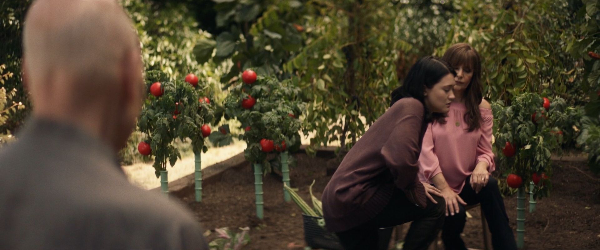 extant_StarTrek_PIC_1x07-Nepenthe_03873.jpg