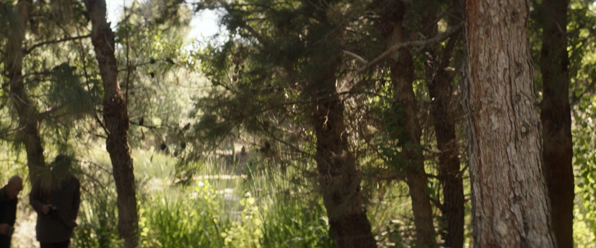 extant_StarTrek_PIC_1x07-Nepenthe_05783.jpg