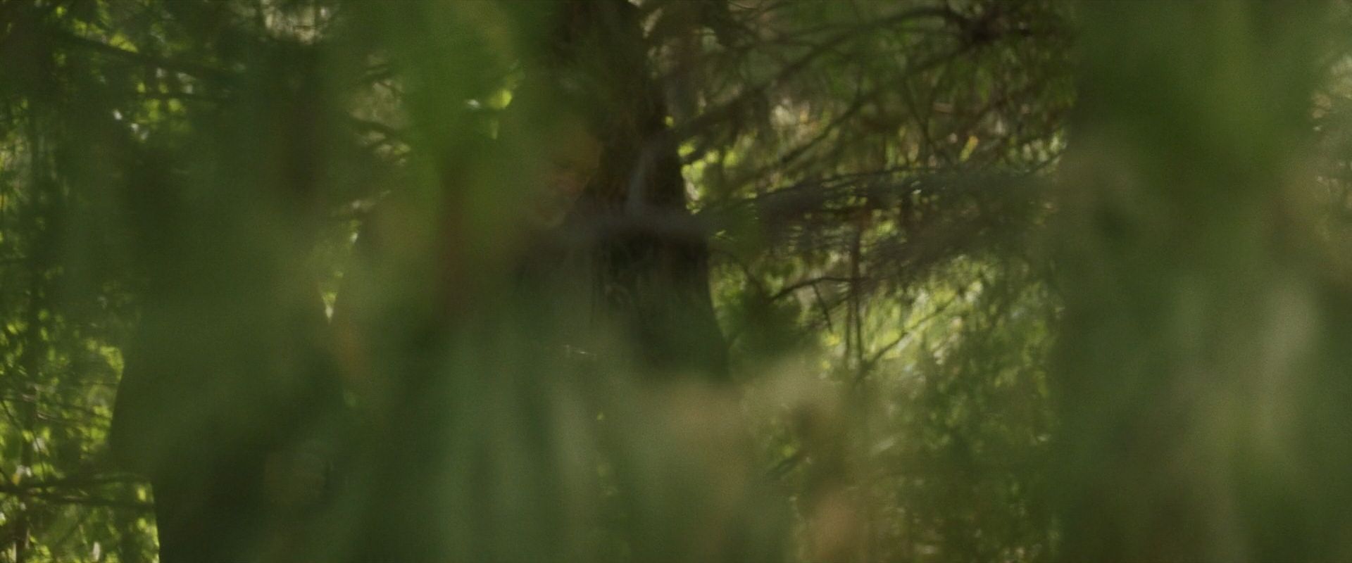 extant_StarTrek_PIC_1x07-Nepenthe_05818.jpg