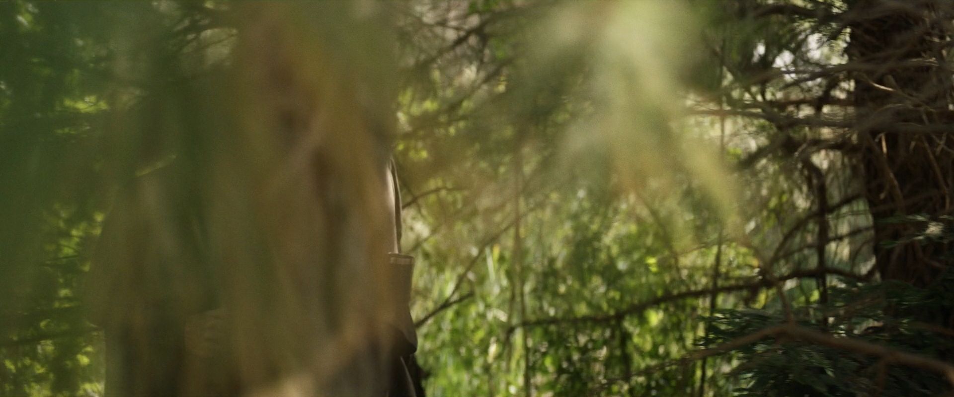 extant_StarTrek_PIC_1x07-Nepenthe_05820.jpg