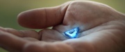 extant_StarTrek_PIC_1x07-Nepenthe_00520.jpg