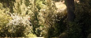 extant_StarTrek_PIC_1x07-Nepenthe_01786.jpg