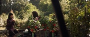 extant_StarTrek_PIC_1x07-Nepenthe_03469.jpg